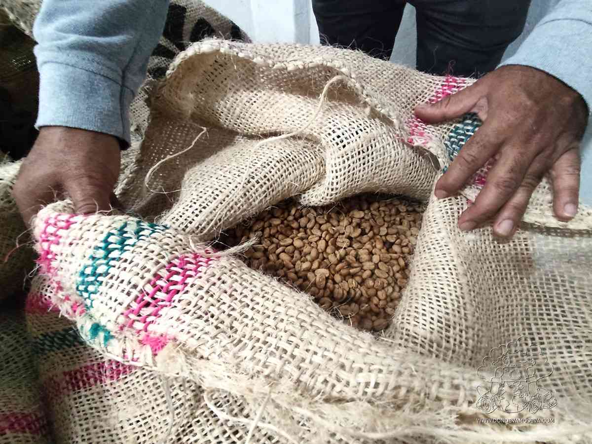 Café especial de Nariño recién cosechado