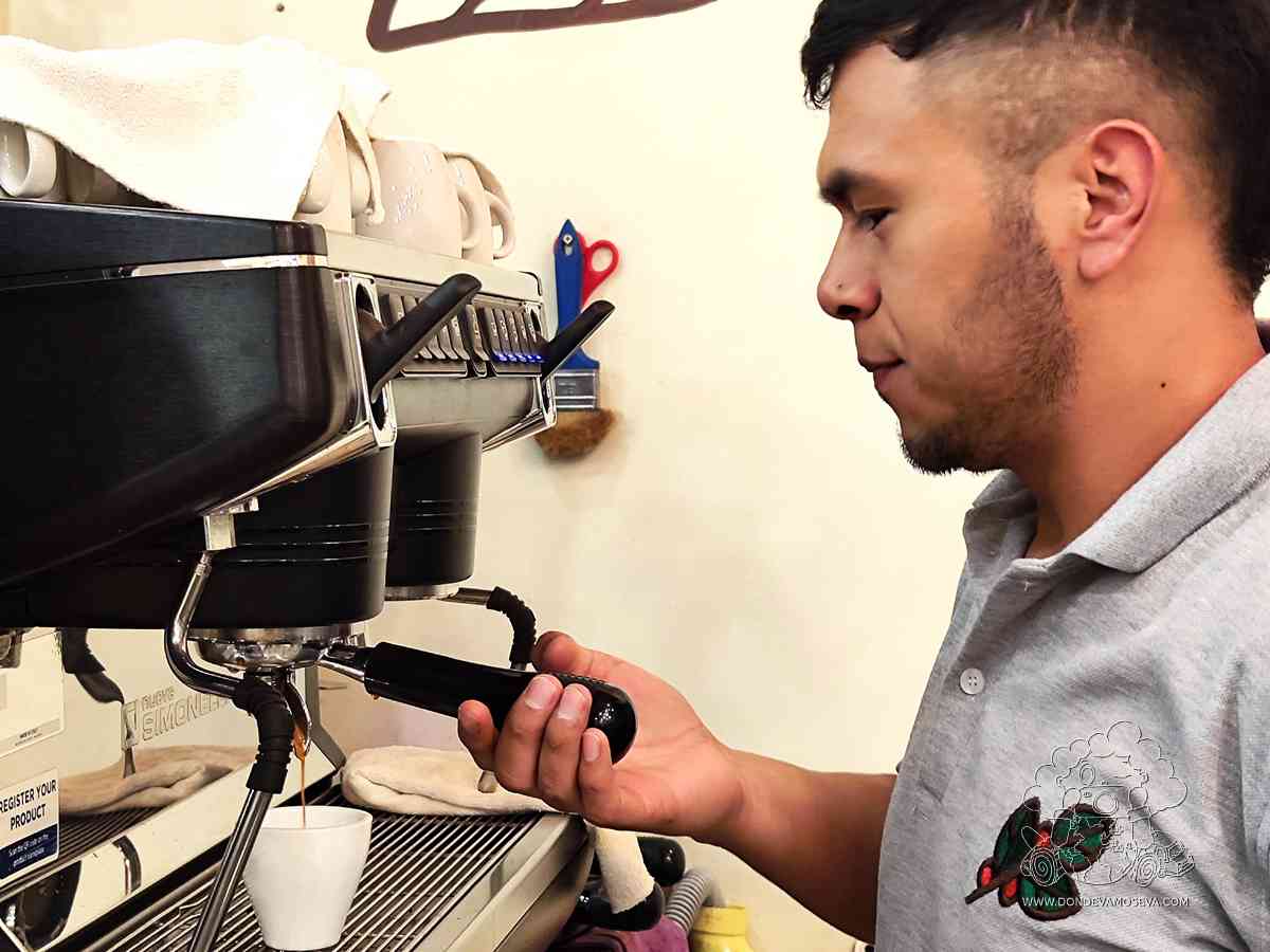 Barista preparando café de especialidad La María, Pasto