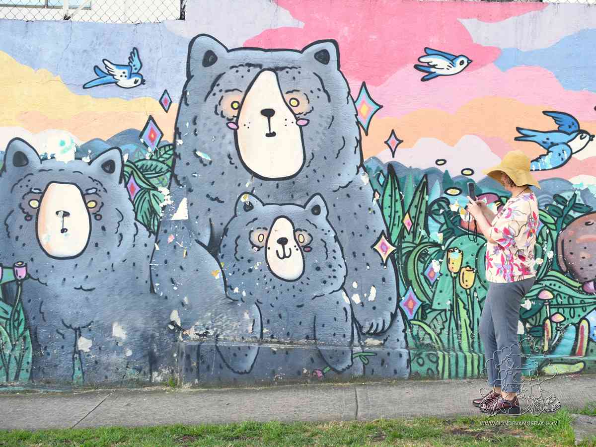Arte urbano y street art en Pasto, artista Suku